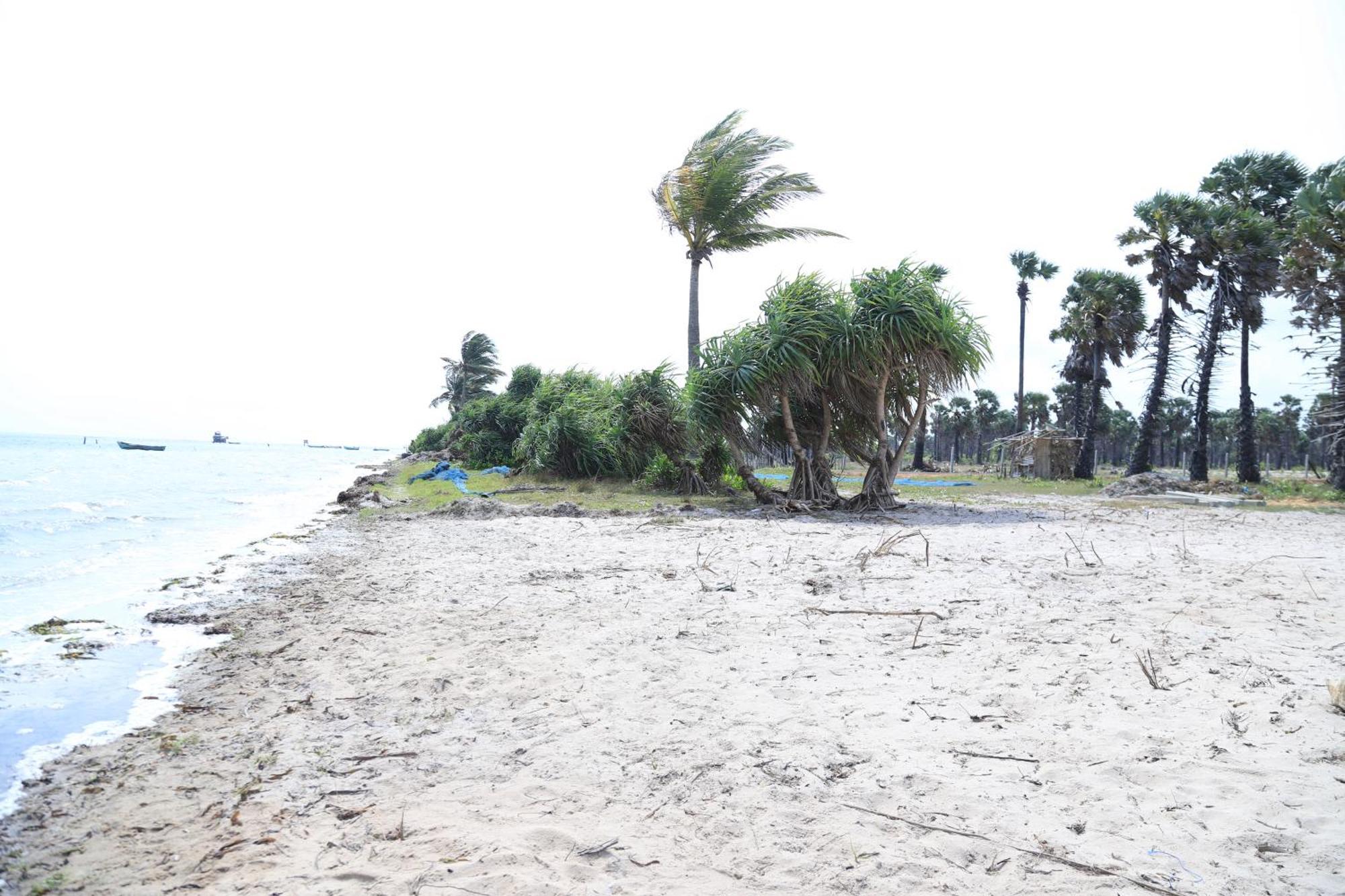 ג'פנה Palm Beach Resort Ceylon מראה חיצוני תמונה
